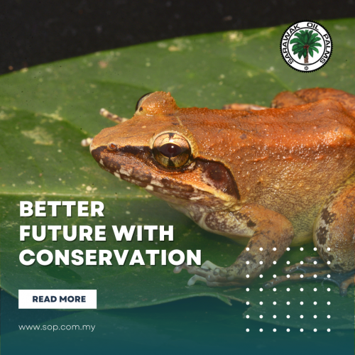 Better-Future-With-Conservation