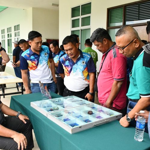 SOP Anti-Drug Awareness Talk - 8